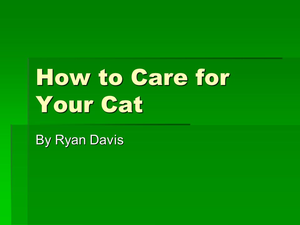 How to Care for Your Cat By Ryan Davis