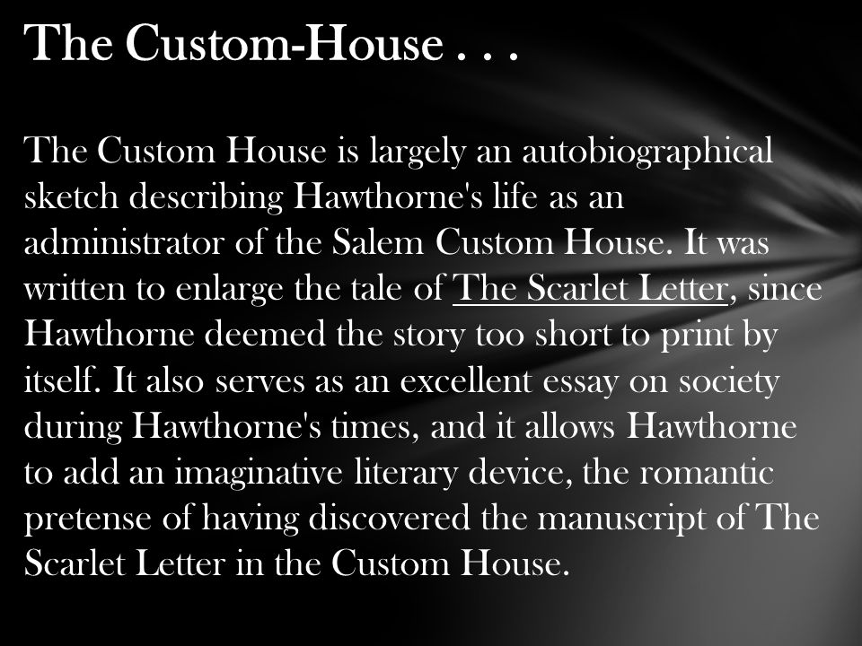 scarlet letter custom house summary