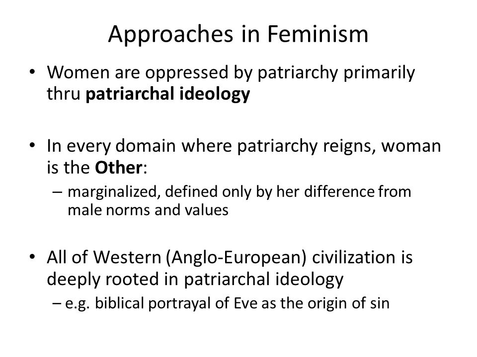 feminism s he concerned with the ways in which literature other