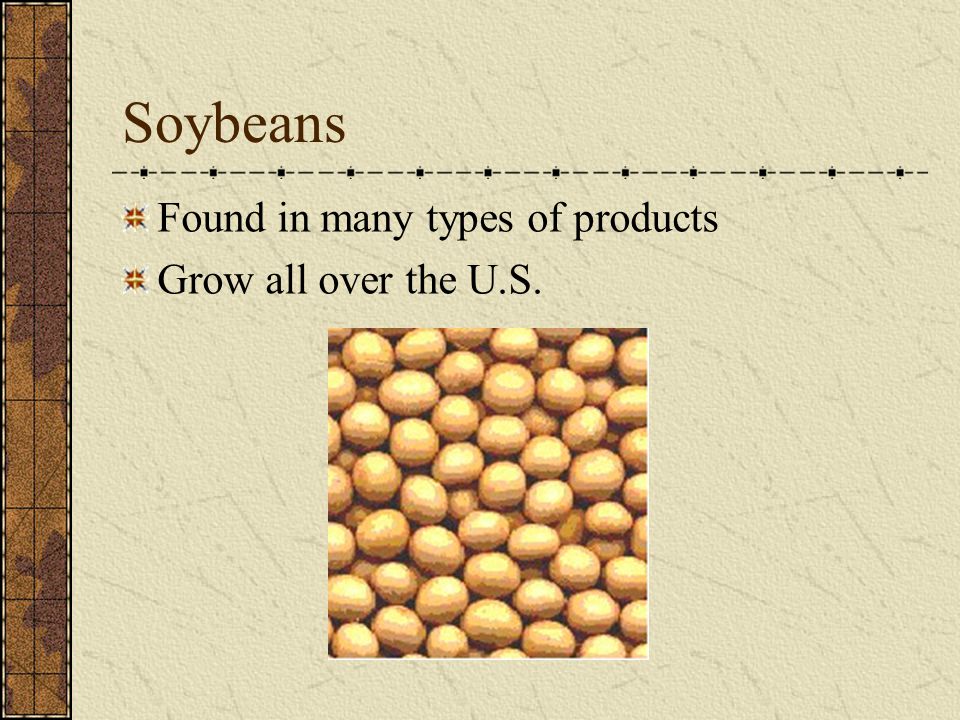 Soybeans Found in many types of products Grow all over the U.S.