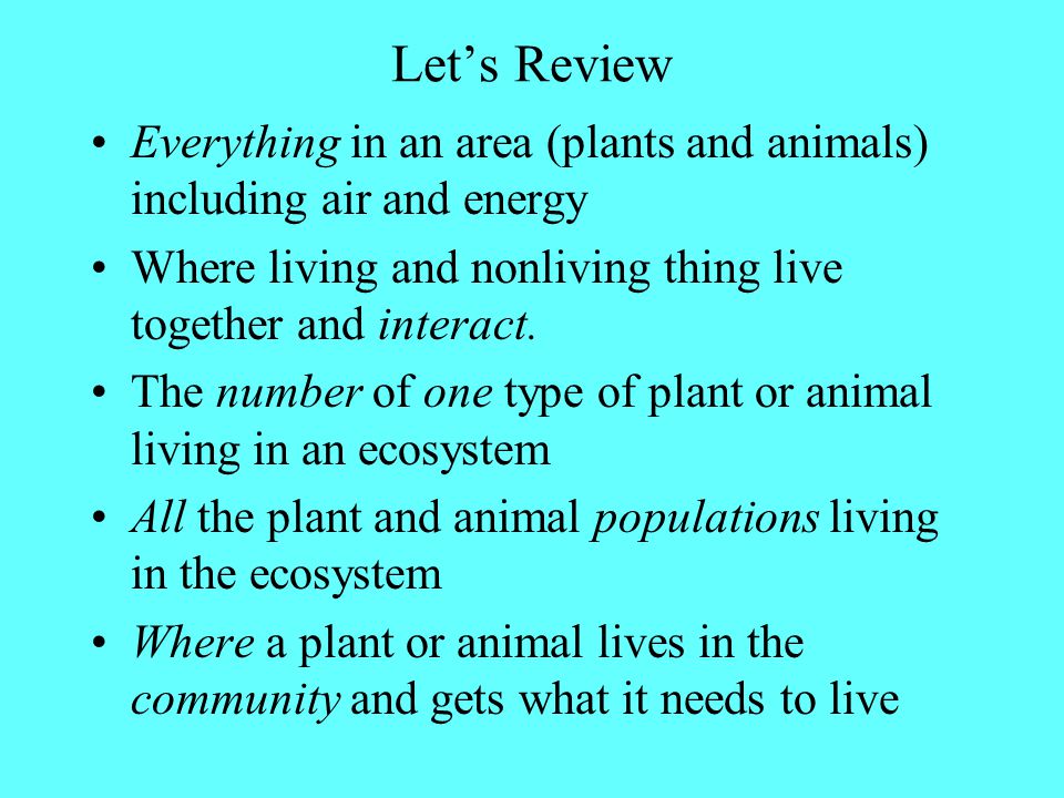 Environment Everything in an area (plants and animals) including air and energy