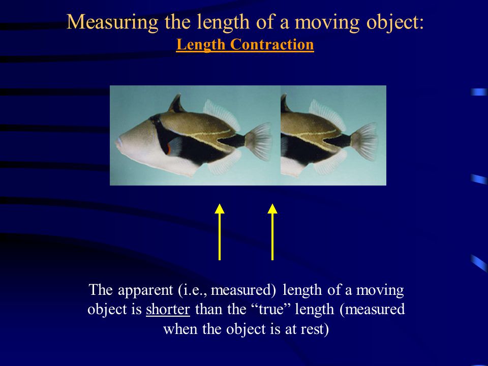 Measuring the length of a moving object: Length Contraction The apparent (i.e., measured) length of a moving object is shorter than the true length (measured when the object is at rest)