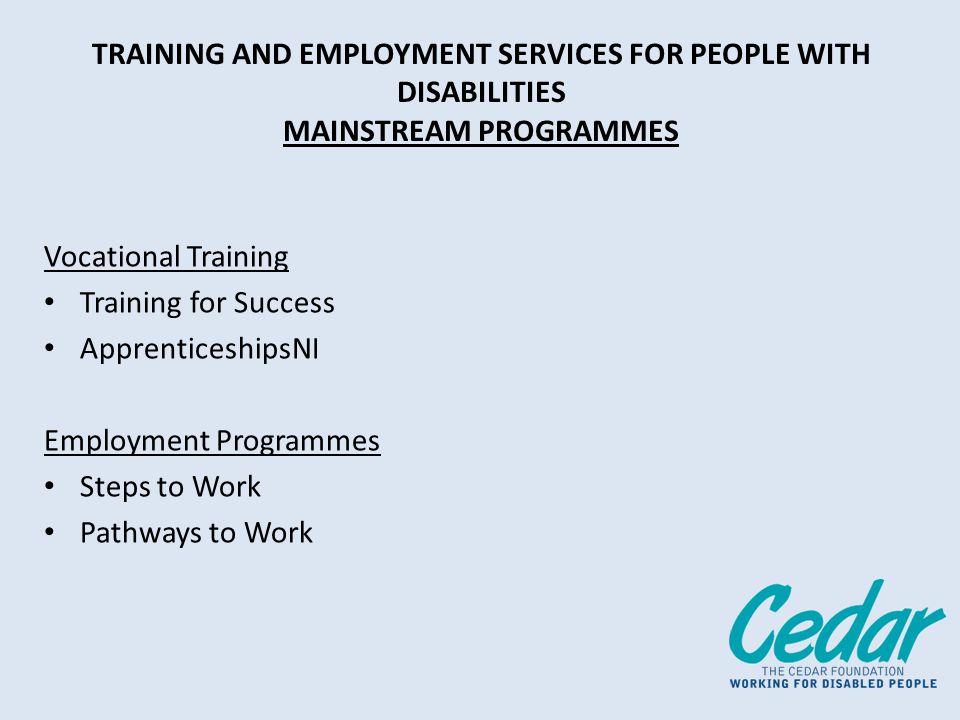 TRAINING AND EMPLOYMENT SERVICES FOR PEOPLE WITH DISABILITIES MAINSTREAM PROGRAMMES Vocational Training Training for Success ApprenticeshipsNI Employment Programmes Steps to Work Pathways to Work