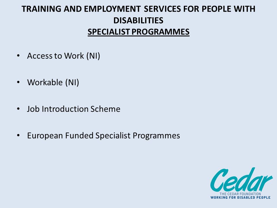 TRAINING AND EMPLOYMENT SERVICES FOR PEOPLE WITH DISABILITIES SPECIALIST PROGRAMMES Access to Work (NI) Workable (NI) Job Introduction Scheme European Funded Specialist Programmes