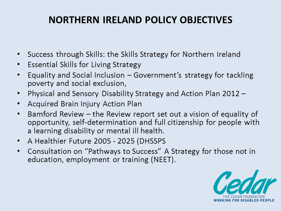 NORTHERN IRELAND POLICY OBJECTIVES Success through Skills: the Skills Strategy for Northern Ireland Essential Skills for Living Strategy Equality and Social Inclusion – Governments strategy for tackling poverty and social exclusion, Physical and Sensory Disability Strategy and Action Plan 2012 – Acquired Brain Injury Action Plan Bamford Review – the Review report set out a vision of equality of opportunity, self-determination and full citizenship for people with a learning disability or mental ill health.