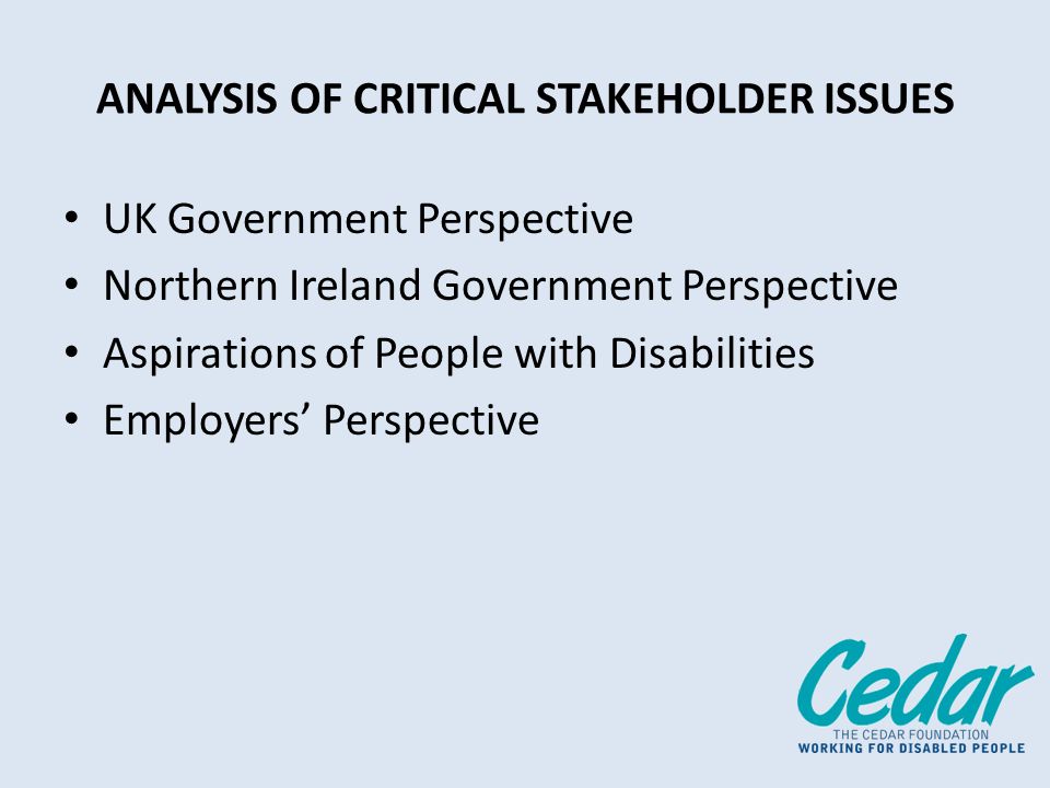 ANALYSIS OF CRITICAL STAKEHOLDER ISSUES UK Government Perspective Northern Ireland Government Perspective Aspirations of People with Disabilities Employers Perspective