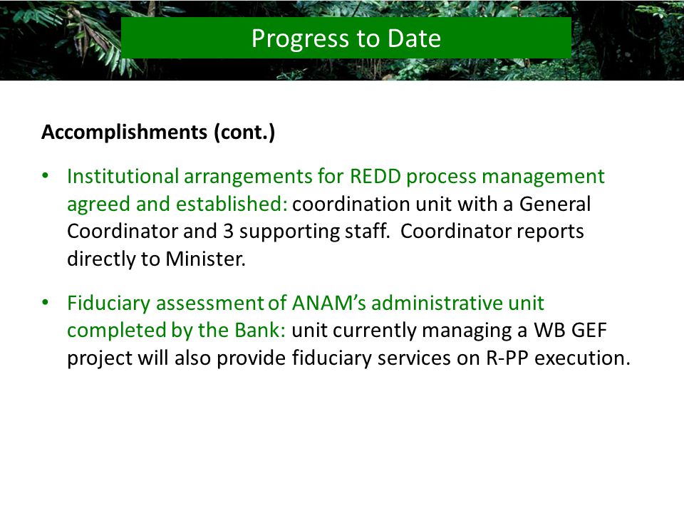 Accomplishments (cont.) Institutional arrangements for REDD process management agreed and established: coordination unit with a General Coordinator and 3 supporting staff.