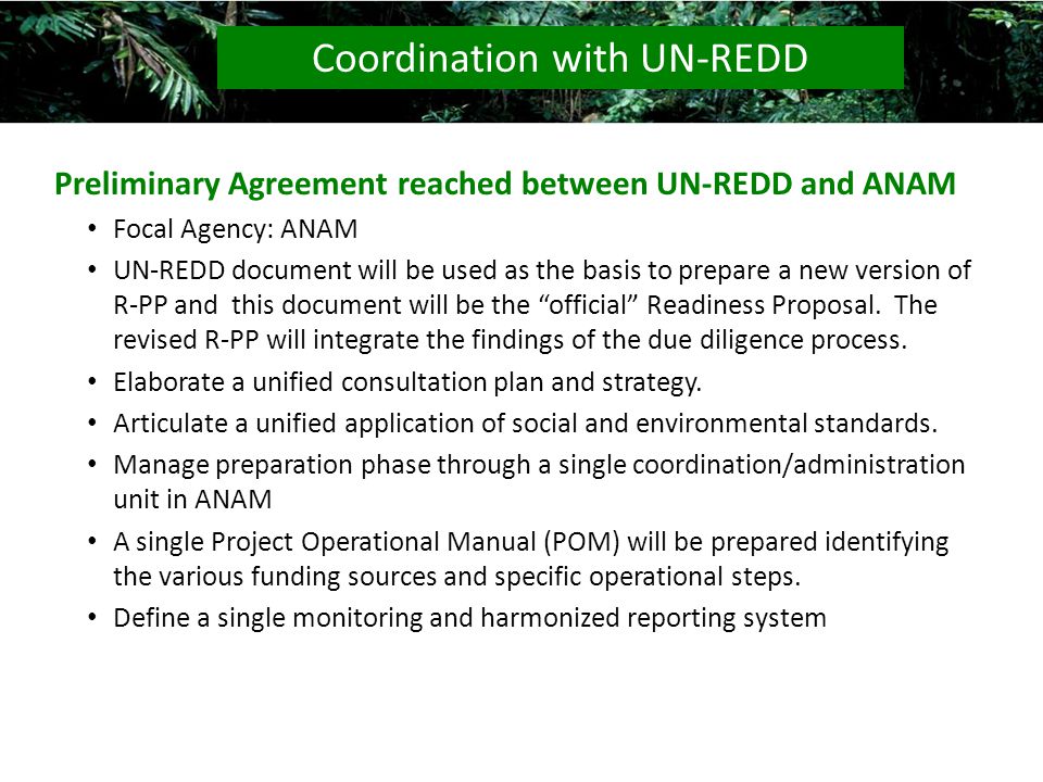 Preliminary Agreement reached between UN-REDD and ANAM Focal Agency: ANAM UN-REDD document will be used as the basis to prepare a new version of R-PP and this document will be the official Readiness Proposal.