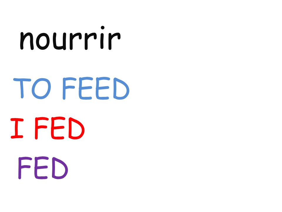 nourrir TO FEED I FED FED