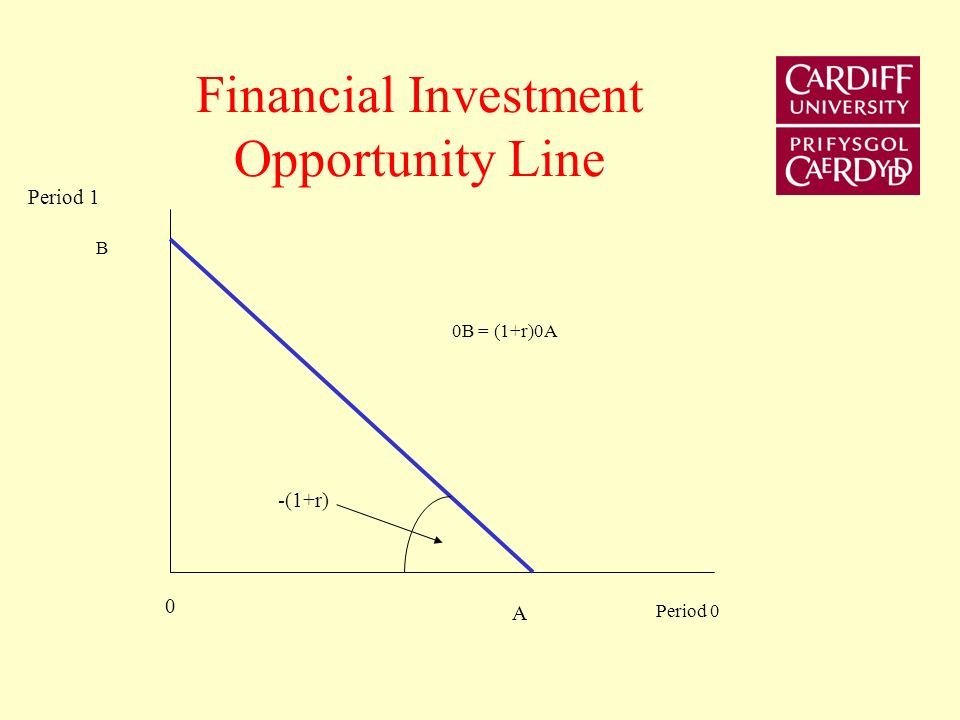 Physical Investment Opportunity Frontier Period 1 Period 0 Y0Y0 C1C1 C0C0 Cost of investment Return on investment E