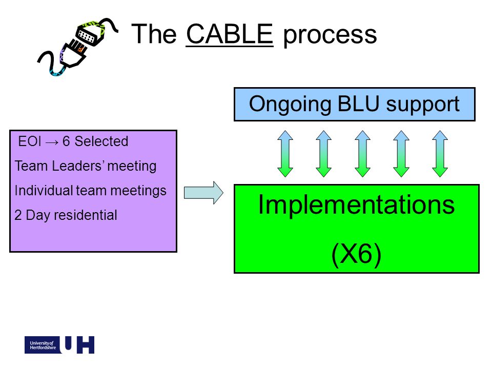 EOI 6 Selected Team Leaders meeting Individual team meetings 2 Day residential Implementations (X6) Ongoing BLU support The CABLE process