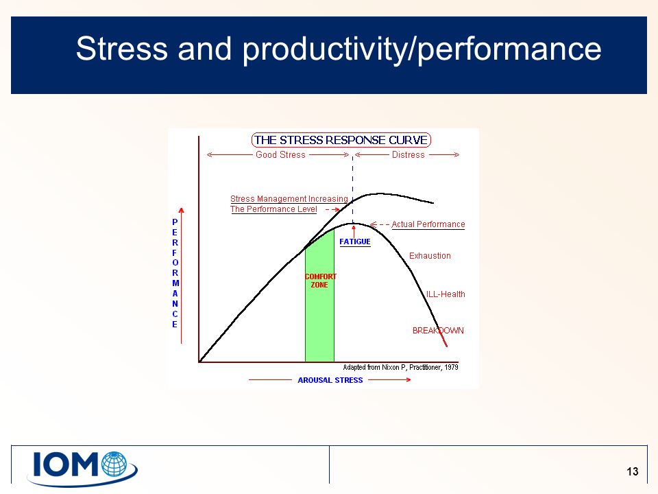 13 Stress and productivity/performance