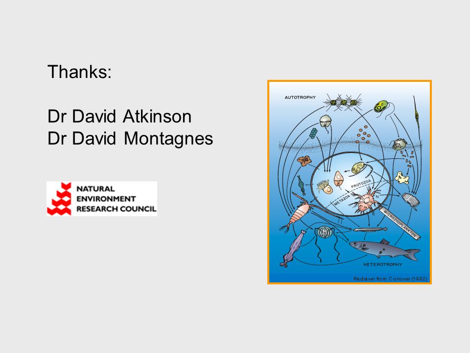 Thanks: Dr David Atkinson Dr David Montagnes