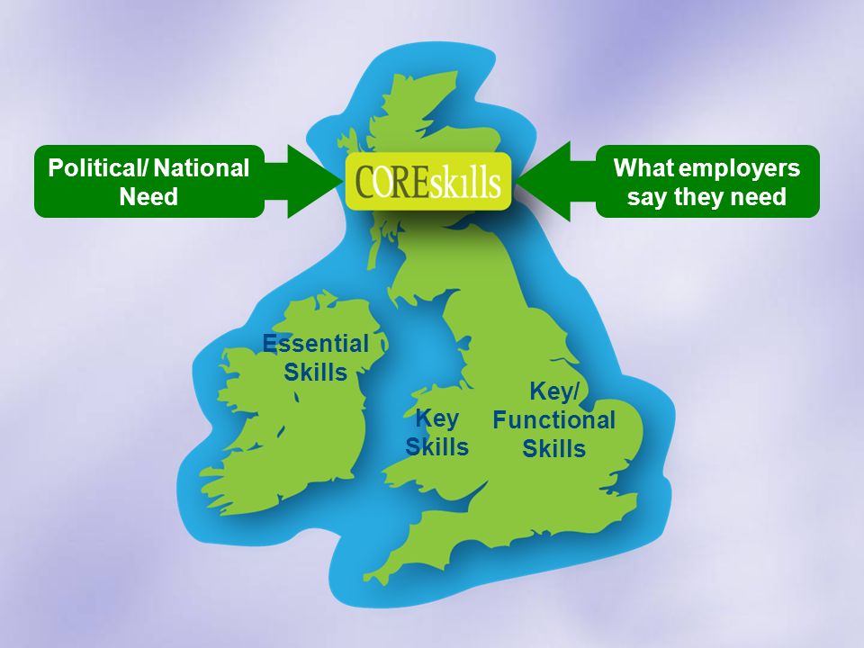 Key Skills Key/ Functional Skills Essential Skills Political/ National Need What employers say they need