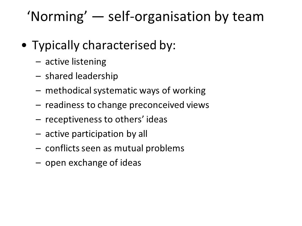 Norming self-organisation by team Typically characterised by: –active listening –shared leadership –methodical systematic ways of working –readiness to change preconceived views –receptiveness to others ideas –active participation by all –conflicts seen as mutual problems –open exchange of ideas 15