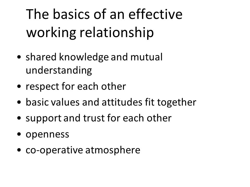 8 The basics of an effective working relationship shared knowledge and mutual understanding respect for each other basic values and attitudes fit together support and trust for each other openness co-operative atmosphere
