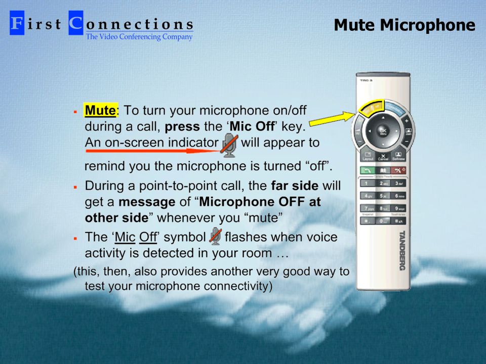 Mute Microphone