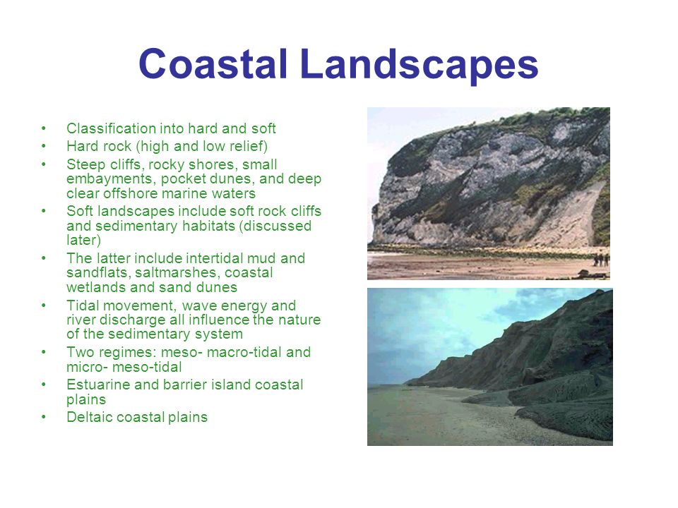 Coastal Ecology And Sustainability Introduction And Welcome Lecture Ppt Download
