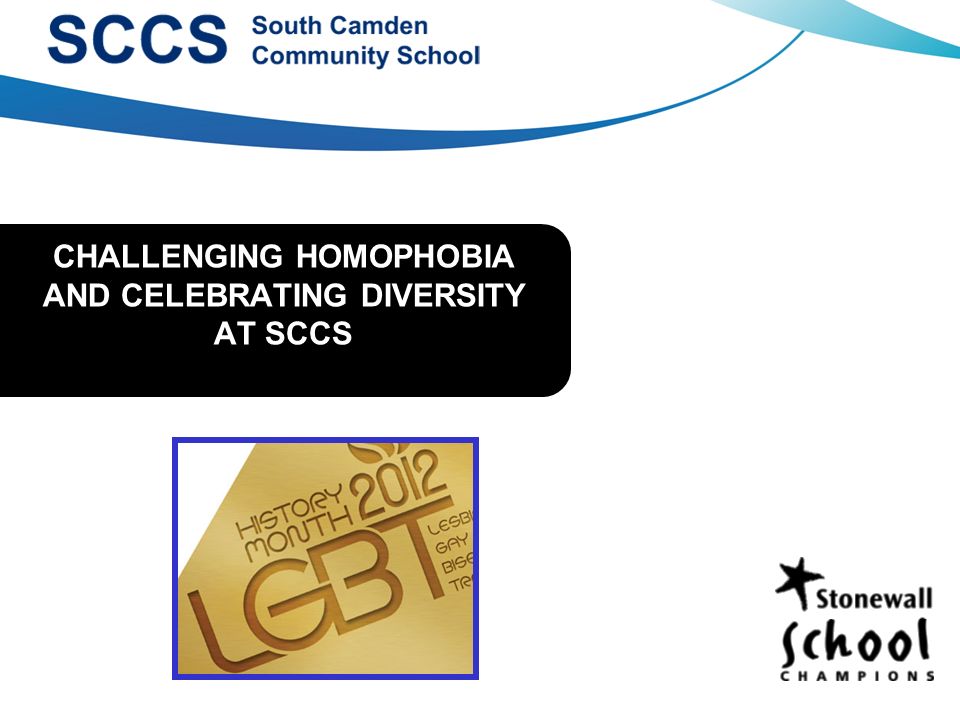 CHALLENGING HOMOPHOBIA AND CELEBRATING DIVERSITY AT SCCS
