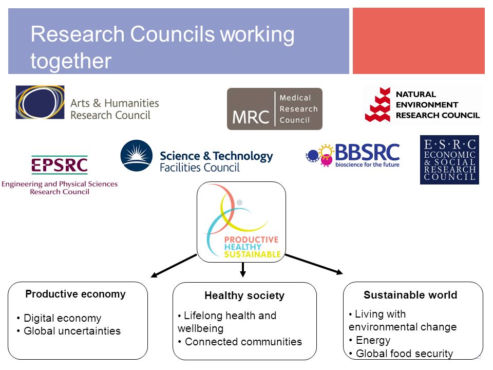 Productive economy Digital economy Global uncertainties Healthy society Lifelong health and wellbeing Connected communities Sustainable world Living with environmental change Energy Global food security Research Councils working together