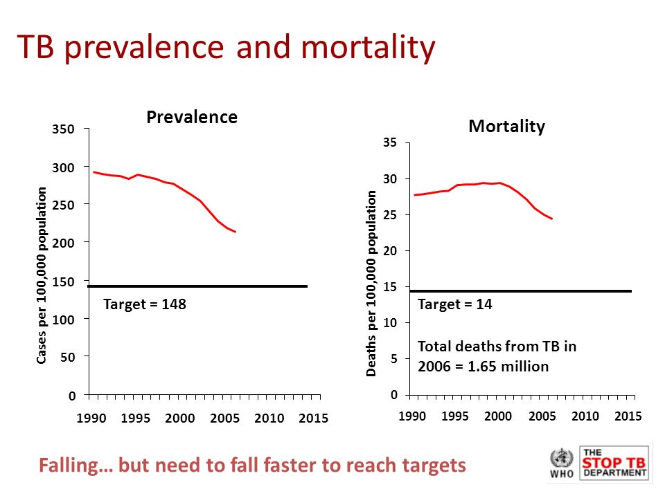 Mortality Deaths per 100,000 population Prevalence Cases per 100,000 population TB prevalence and mortality Falling… but need to fall faster to reach targets Total deaths from TB in 2006 = 1.65 million Target = 148Target = 14