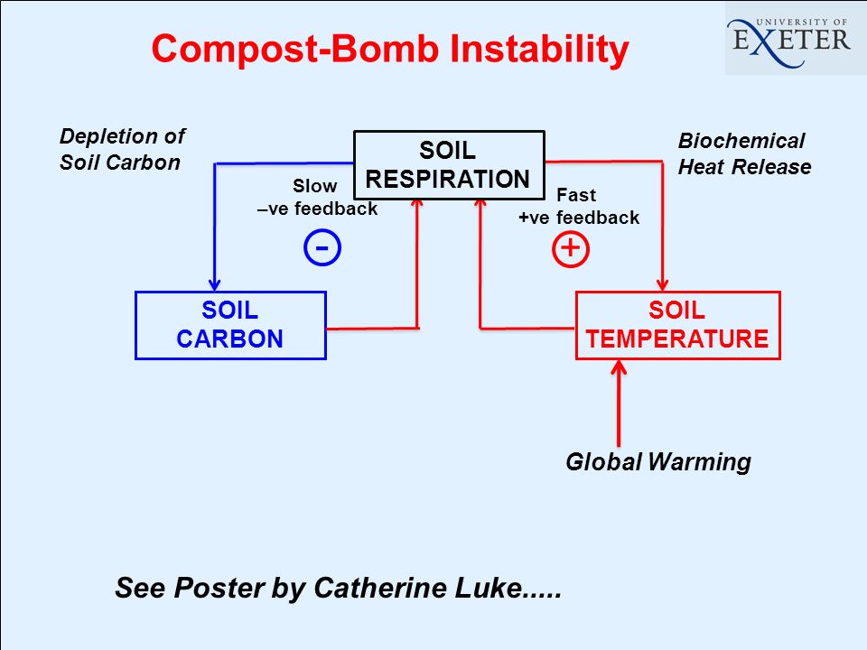 Compost-Bomb Instability SOIL CARBON SOIL TEMPERATURE + Fast +ve feedback Slow –ve feedback - Global Warming See Poster by Catherine Luke.....