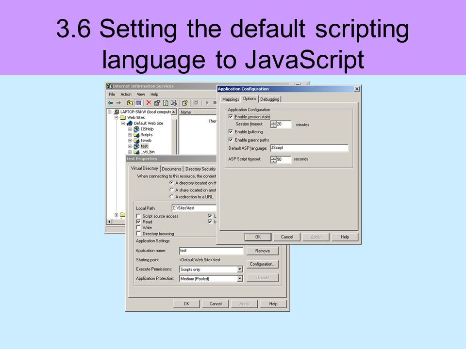 3.6 Setting the default scripting language to JavaScript