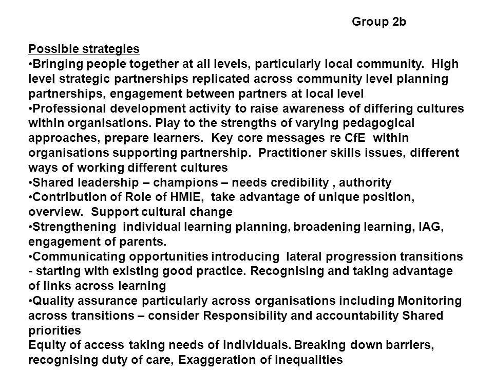 Group 2b Possible strategies Bringing people together at all levels, particularly local community.