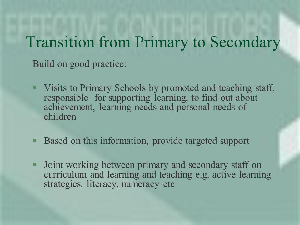 Transition from Primary to Secondary Build on good practice: §Visits to Primary Schools by promoted and teaching staff, responsible for supporting learning, to find out about achievement, learning needs and personal needs of children §Based on this information, provide targeted support §Joint working between primary and secondary staff on curriculum and learning and teaching e.g.