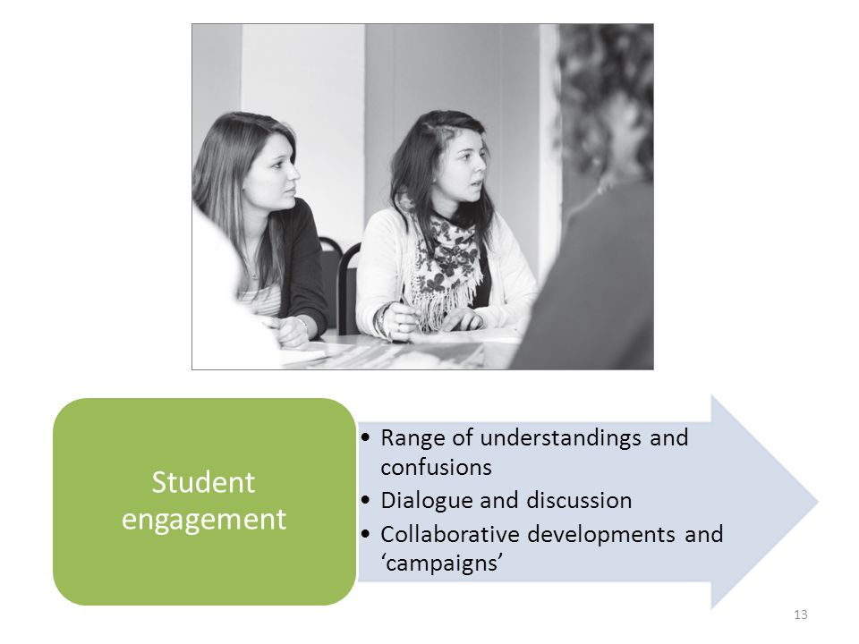 13 Range of understandings and confusions Dialogue and discussion Collaborative developments and campaigns Student engagement