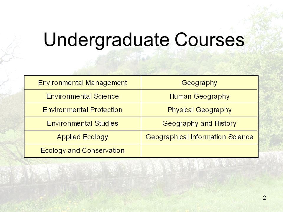 2 Undergraduate Courses