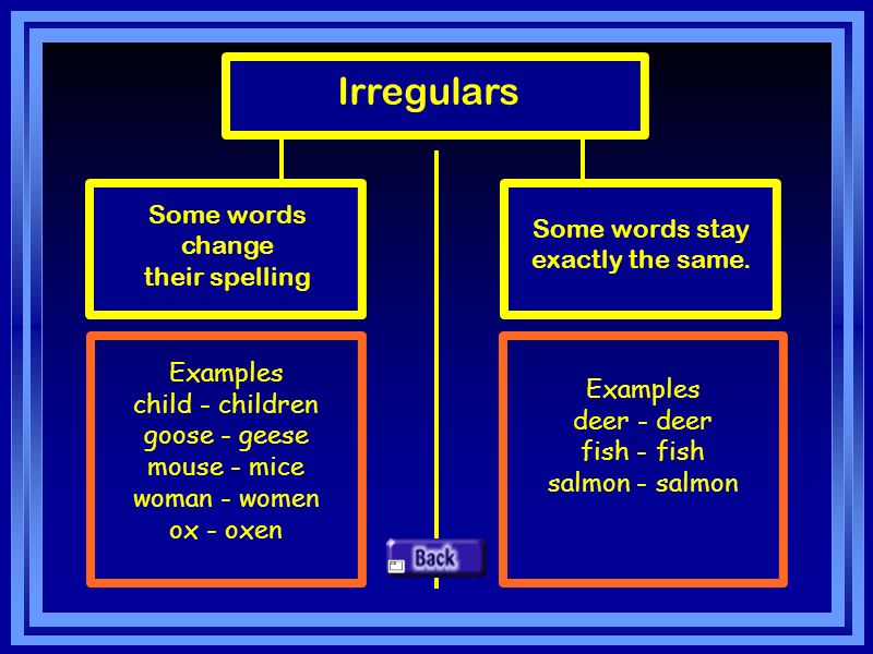 Irregulars Some words change their spelling Some words stay exactly the same.