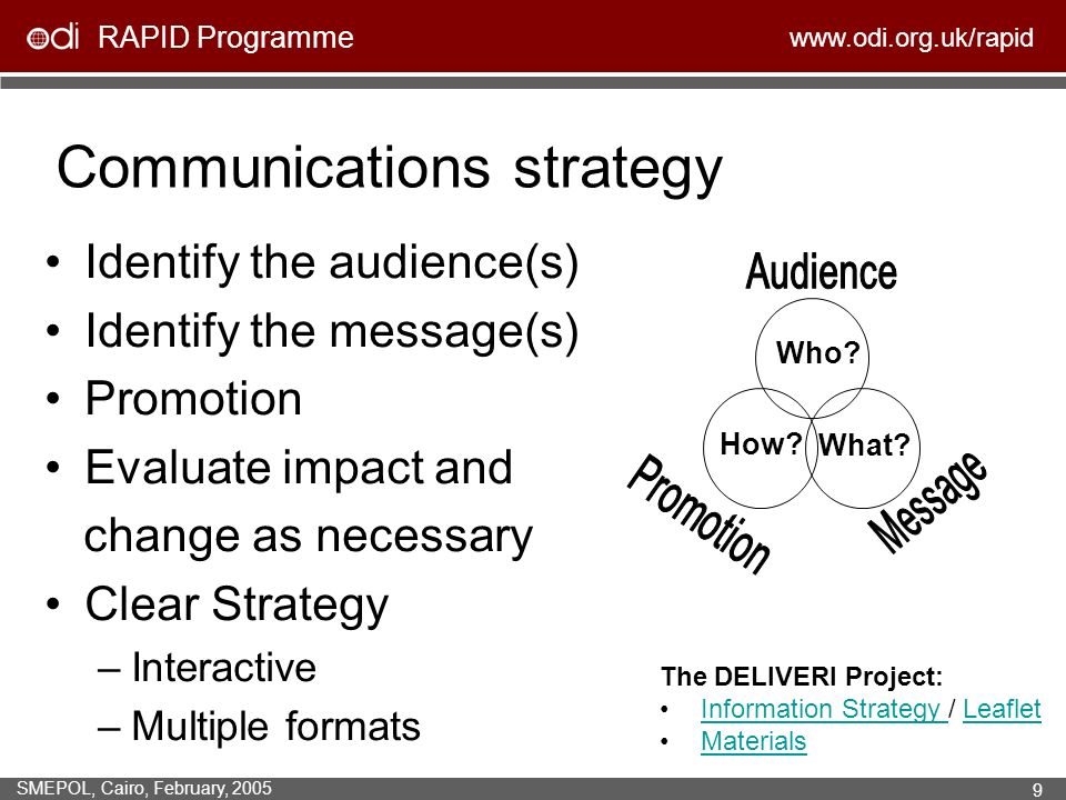 RAPID Programme   SMEPOL, Cairo, February, Communications strategy Identify the audience(s) Identify the message(s) Promotion Evaluate impact and change as necessary Clear Strategy –Interactive –Multiple formats How.