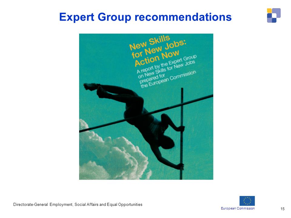 European Commission Directorate-General Employment, Social Affairs and Equal Opportunities 15 Expert Group recommendations