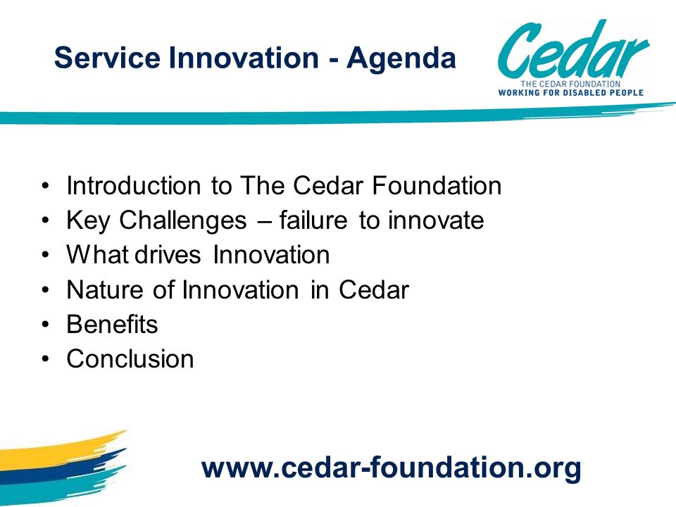 Introduction to The Cedar Foundation Key Challenges – failure to innovate What drives Innovation Nature of Innovation in Cedar Benefits Conclusion   Service Innovation - Agenda