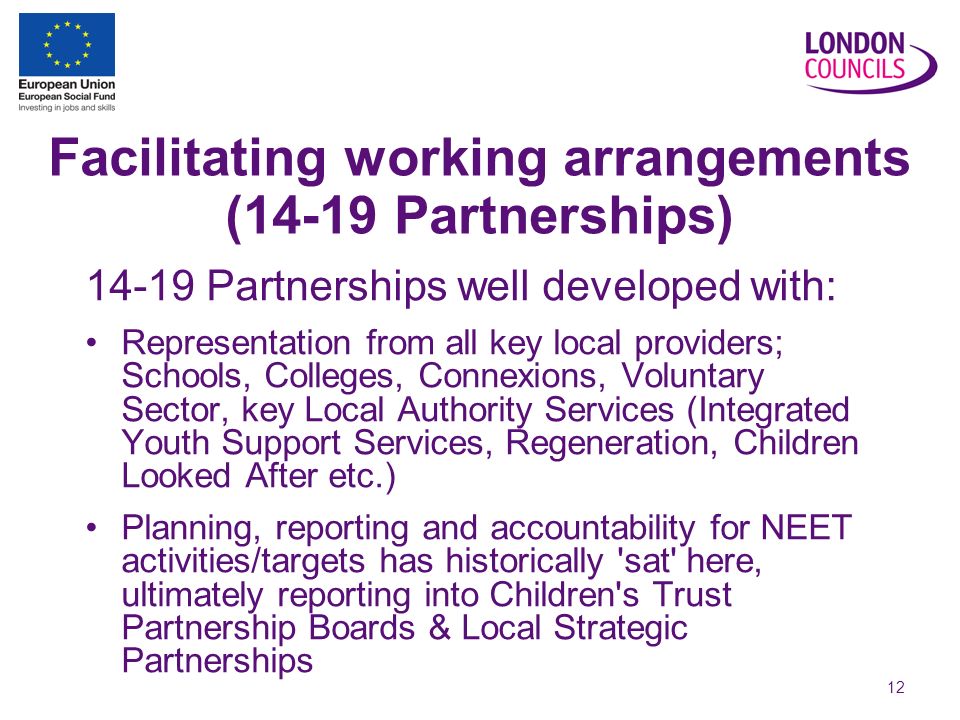 12 Facilitating working arrangements (14-19 Partnerships) Partnerships well developed with: Representation from all key local providers; Schools, Colleges, Connexions, Voluntary Sector, key Local Authority Services (Integrated Youth Support Services, Regeneration, Children Looked After etc.) Planning, reporting and accountability for NEET activities/targets has historically sat here, ultimately reporting into Children s Trust Partnership Boards & Local Strategic Partnerships