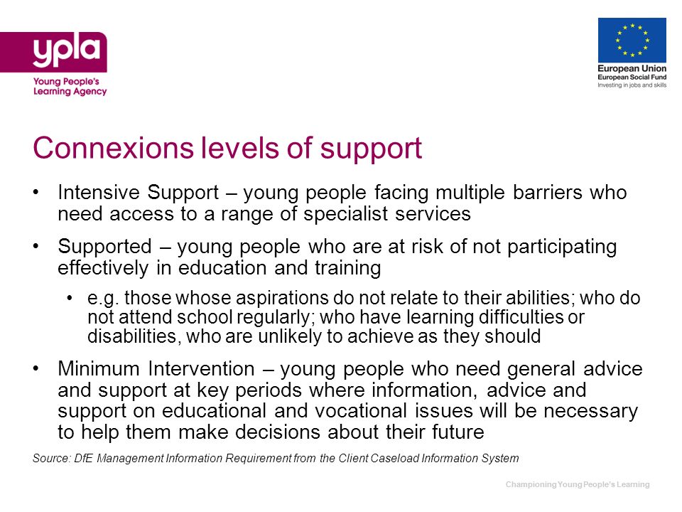 Championing Young Peoples Learning Connexions levels of support Intensive Support – young people facing multiple barriers who need access to a range of specialist services Supported – young people who are at risk of not participating effectively in education and training e.g.