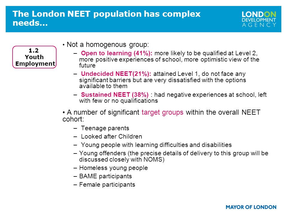 The London NEET population has complex needs… Not a homogenous group: – Open to learning (41%): more likely to be qualified at Level 2, more positive experiences of school, more optimistic view of the future – Undecided NEET(21%): attained Level 1, do not face any significant barriers but are very dissatisfied with the options available to them – Sustained NEET (38%) : had negative experiences at school, left with few or no qualifications A number of significant target groups within the overall NEET cohort: – Teenage parents – Looked after Children – Young people with learning difficulties and disabilities –Young offenders (the precise details of delivery to this group will be discussed closely with NOMS) –Homeless young people –BAME participants –Female participants 1.2 Youth Employment