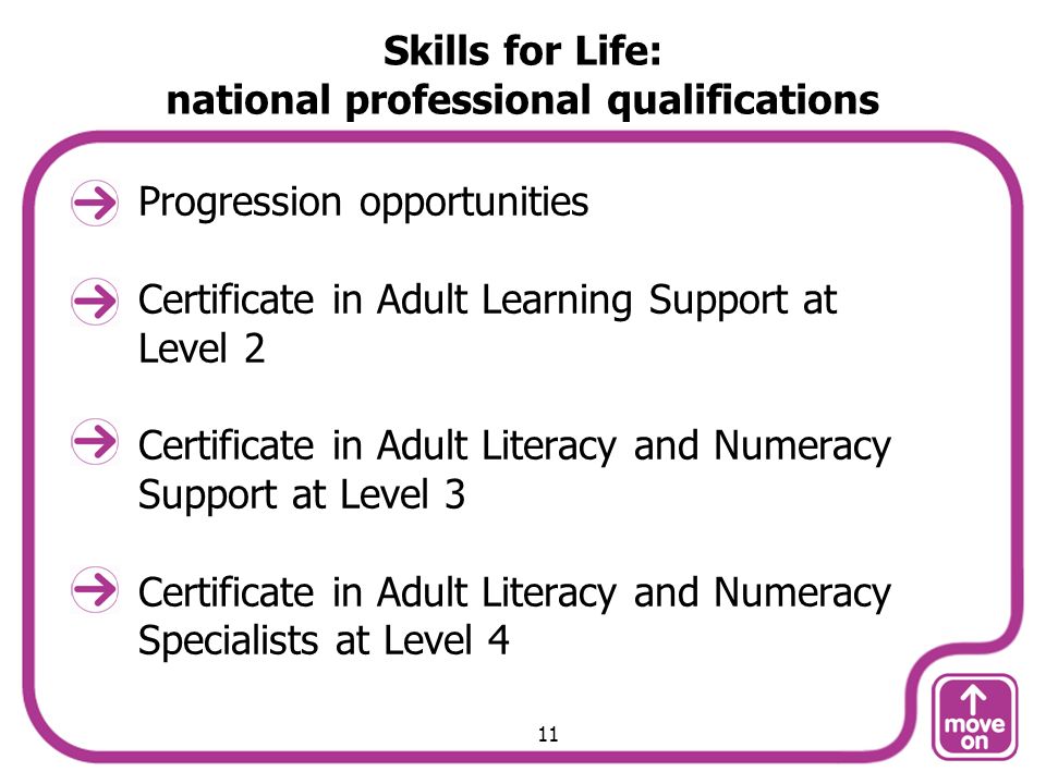 Skills for Life: national professional qualifications Progression opportunities Certificate in Adult Learning Support at Level 2 Certificate in Adult Literacy and Numeracy Support at Level 3 Certificate in Adult Literacy and Numeracy Specialists at Level 4 11