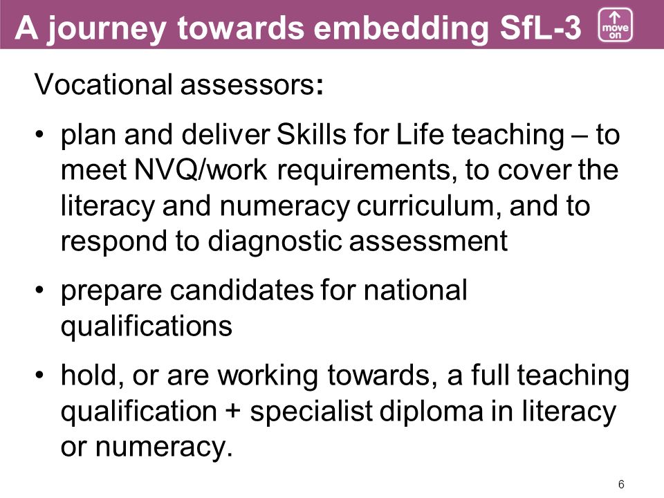 6 A journey towards embedding SfL-3 Vocational assessors: plan and deliver Skills for Life teaching – to meet NVQ/work requirements, to cover the literacy and numeracy curriculum, and to respond to diagnostic assessment prepare candidates for national qualifications hold, or are working towards, a full teaching qualification + specialist diploma in literacy or numeracy.