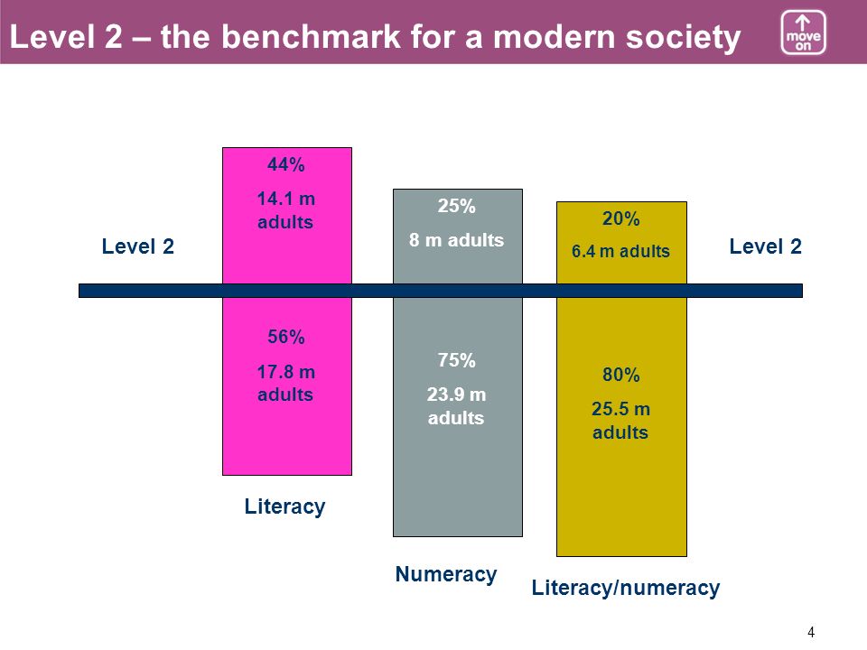 4 44% 14.1 m adults 56% 17.8 m adults 25% 8 m adults 75% 23.9 m adults 20% 6.4 m adults 80% 25.5 m adults Literacy Numeracy Literacy/numeracy Level 2 Level 2 – the benchmark for a modern society