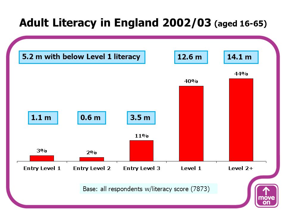 Adult Literacy in England 2002/03 (aged 16-65) Base: all respondents w/literacy score (7873) 1.1 m0.6 m3.5 m 12.6 m14.1 m5.2 m with below Level 1 literacy