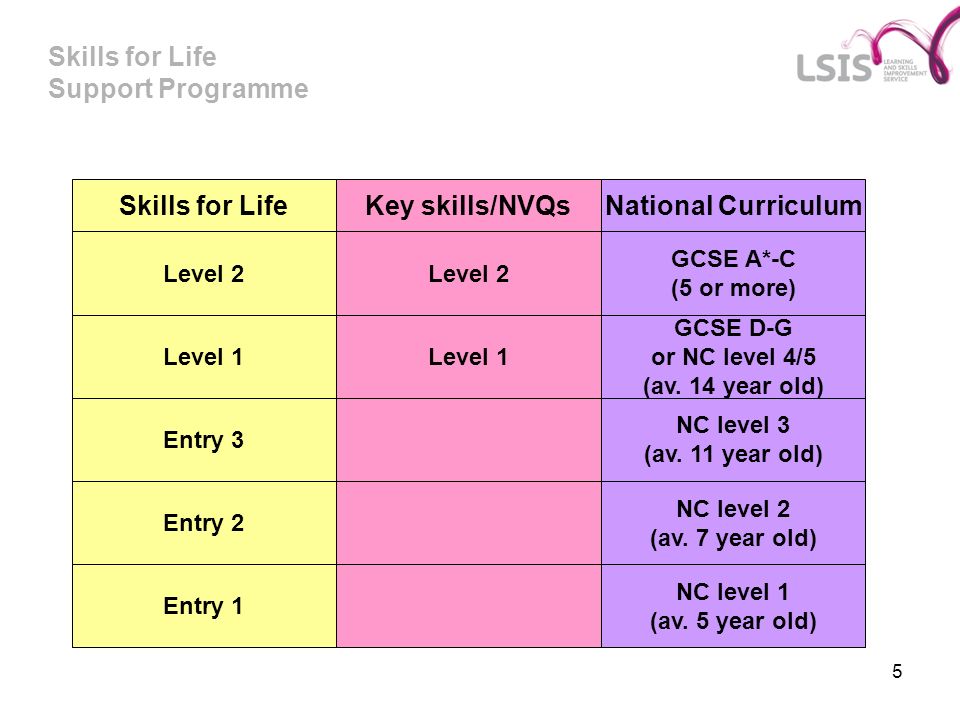 Skills for Life Support Programme 5 Skills for Life National CurriculumKey skills/NVQs Level 2 GCSE A*-C (5 or more) Level 1 Entry 2 Entry 3 Entry 1 Level 1 GCSE D-G or NC level 4/5 (av.