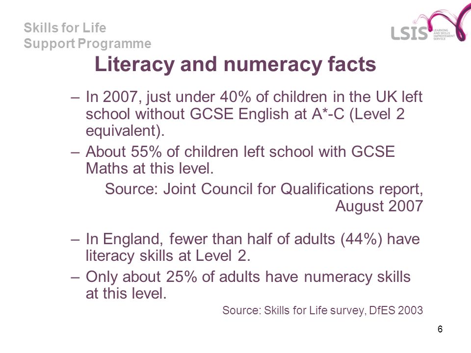 Skills for Life Support Programme 6 Literacy and numeracy facts –In 2007, just under 40% of children in the UK left school without GCSE English at A*-C (Level 2 equivalent).