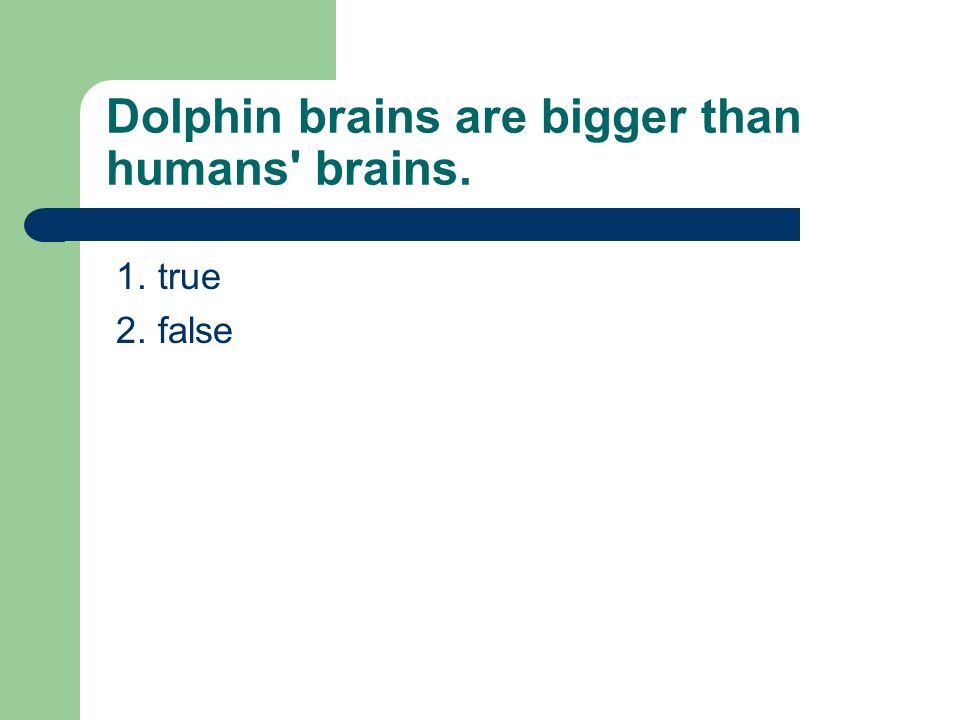 Dolphin brains are bigger than humans brains. 1. true 2. false