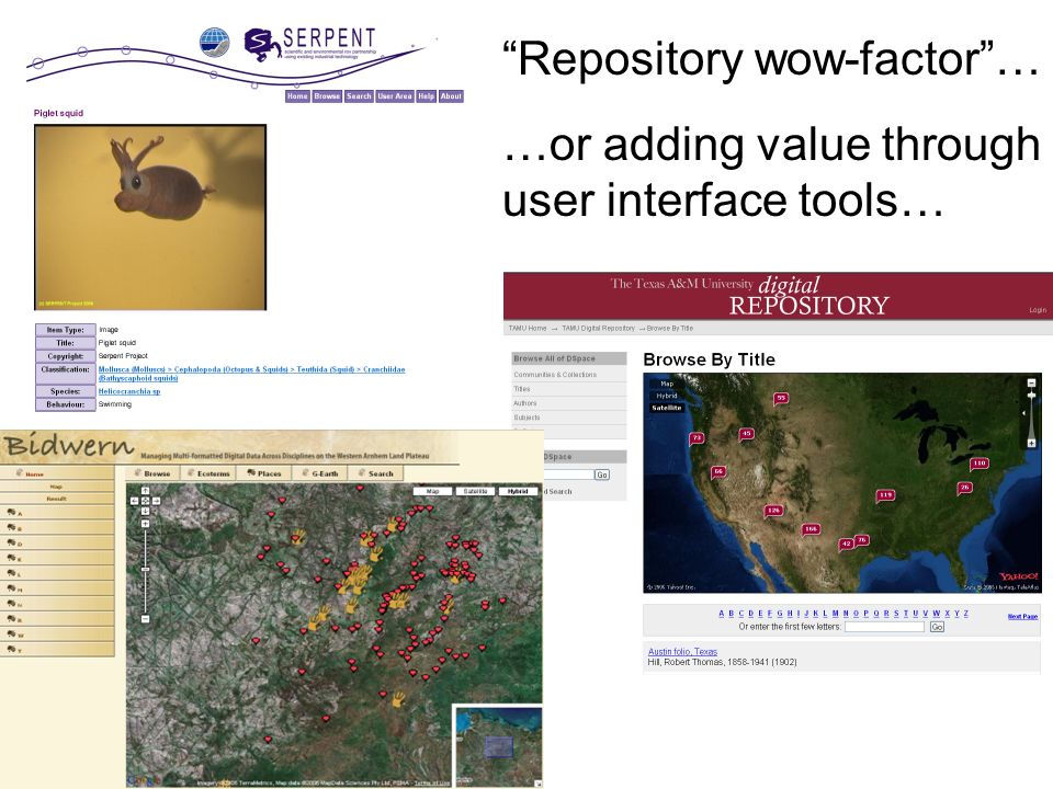 Repository wow-factor… …or adding value through user interface tools…