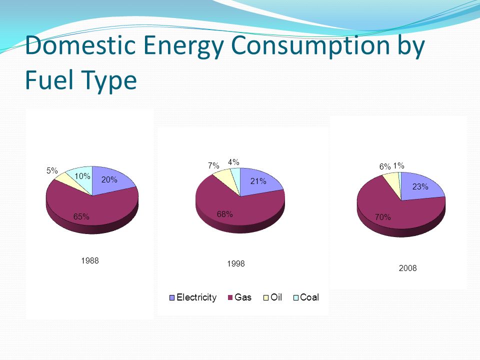 Domestic Energy Consumption by Fuel Type