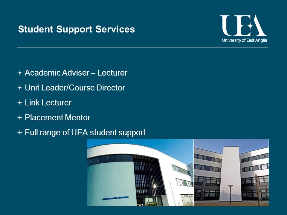 Student Support Services Academic Adviser – Lecturer Unit Leader/Course Director Link Lecturer Placement Mentor Full range of UEA student support