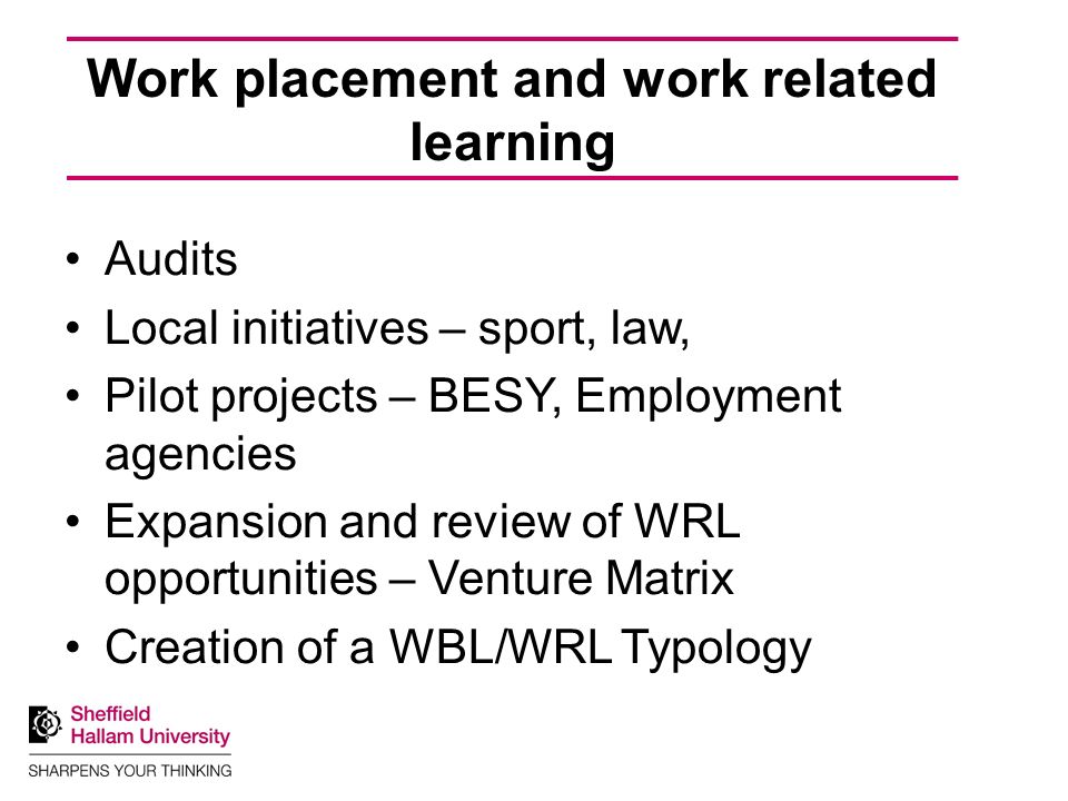 Work placement and work related learning Audits Local initiatives – sport, law, Pilot projects – BESY, Employment agencies Expansion and review of WRL opportunities – Venture Matrix Creation of a WBL/WRL Typology