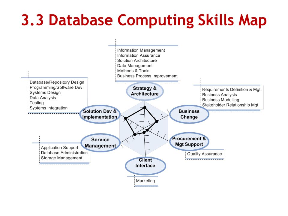 3.3 Database Computing Skills Map